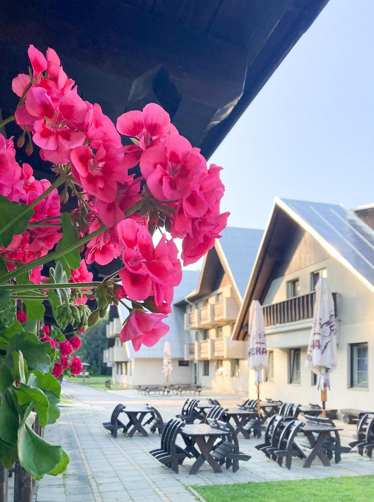 Hotel Hornik ชิดาร์ นัด ซาซาโว ภายนอก รูปภาพ